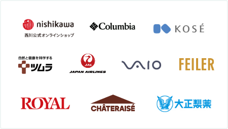 中堅・大手企業の成功事例を活かしたご支援